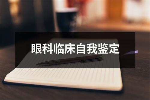 眼科临床自我鉴定