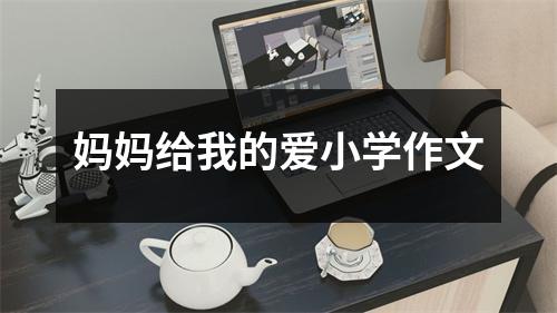 妈妈给我的爱小学作文