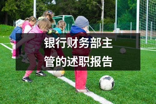 银行财务部主管的述职报告