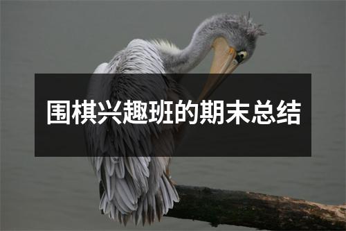 围棋兴趣班的期末总结