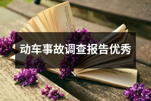 动车事故调查报告优秀