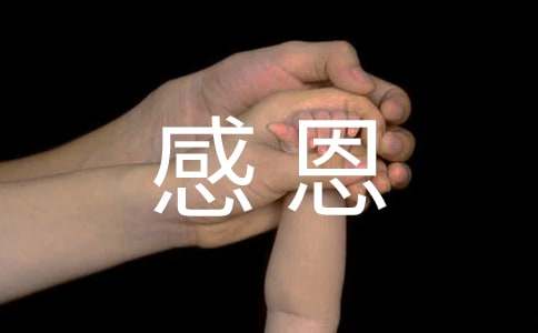 感恩父母一封信（精选20篇）