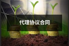 代理协议合同（共14篇）