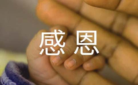 感恩父母的一封信