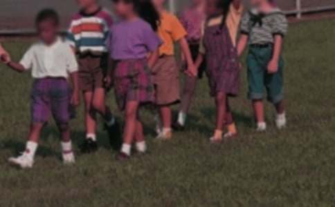 (精)幼儿园教师培训活动简报（25篇）